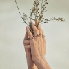 Billede af Mads Z "Four Seasons - Summer Petite" ring 14 kt. guld m. ægte sten (str. 50-60)