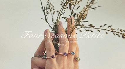 Billede til varegruppe Four Seasons