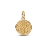Billede af Pandora Hvede Medaljoncharm forgyldt metalblanding m. cz