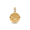 Billede af Pandora Hvede Medaljoncharm forgyldt metalblanding m. cz
