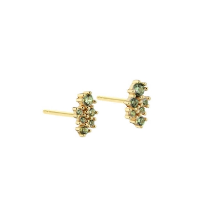 Billede af Aqua Dulce New Aura Olive Stud øreringe forgyldt sølv m. cz