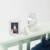 Billede af Nordahl Andersen Tand- /Hårlokæske Miffy sølvfarvet (stående)