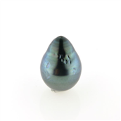 Tahiti perle 15,7*11,2 mm. anb. 