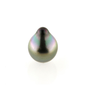 Tahiti perle 14,3*11,5 mm. anb. 