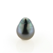 Tahiti perle 14,7*11,6 mm. anb. 