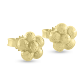 Ørestik hyldeblomst, 8,4 mm. guld
