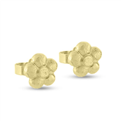 Ørestik hyldeblomst, 7,5 mm. 8 kt