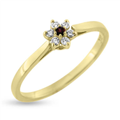 Ring roset rubin 0,02 ct. + 6 brill. a 0,015 w/vs 14 kt.