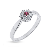 Rosetring 14kt hvg 1* rubin 2,5mm + 6* brill. á 0,05 ct w/vs