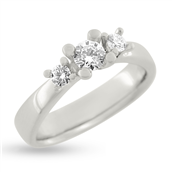 Ring rækkering 1*0,30 + 2*0,10 w/vs. 14 kt. hvg. 