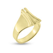 Ring massiv