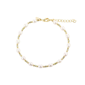Aqua Dulce Coast Olive armbånd forgyldt sølv m. fvp (17 + 3 cm)