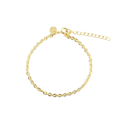 Aqua Dulce Fancy Big armbånd forgyldt sølv (17 + 3 cm)