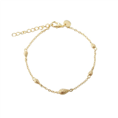Aqua Dulce Cappa armbånd forgyldt sølv (17 + 3 cm)