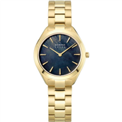 Bering Classic Solar dameur stål gulddoublé 5 bar 31mm