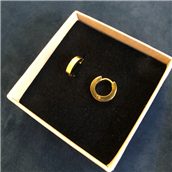 By Pind knæk creol stål forgyldt kantet silkemat overflade blanke sider 13,5x3mm (1,35cm i diameter)