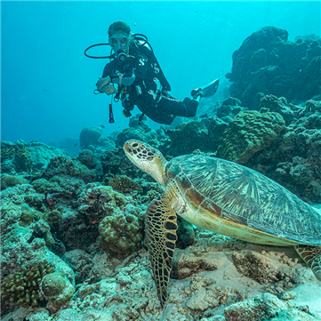 Certina DS Action 'Special Edition' Sea Turtle Conservancy Automatisk Blue Bicolor 300m safirglas 38mm