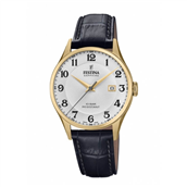 Festina Swiss Made herreur F20010/1 10 bar 40mm