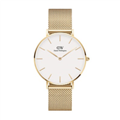 Daniel Wellington Petite Evergold  DW00100346