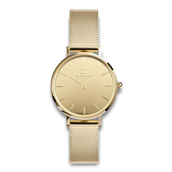 Daniel Wellington Petite Mirror dameur stål gulddoublé 28mm 3bar