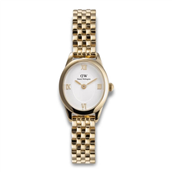 Daniel Wellington Oval Mini dameur stål gulddoublé 25mm 3bar