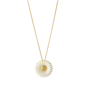 Georg Jensen Daisy broche m. halskæde 33mm forgyldt sølv 60cm kæde