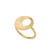 Heiring Dream Catcher ring forgyldt sølv str. 48-60