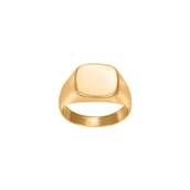 SON of NOA Ring m. plade forgyldt stål (str. 56-70)