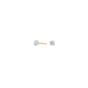 Pure Titanium øreringe forgyldt m. cz (3 mm)