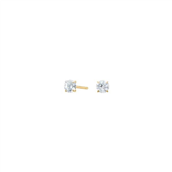 Pure Titanium øreringe forgyldt m. cz (4 mm)