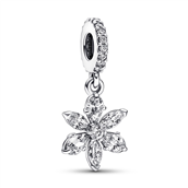 Pandora charm Herbarium cluster