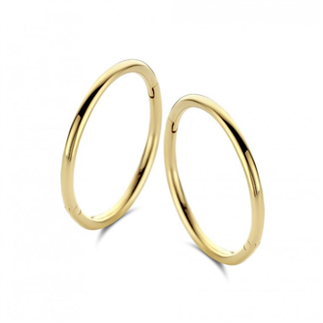 Spirit Icons Imagine small hoops 14 kt.