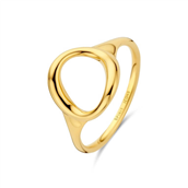Spirit Icons Aurora ring 14 karat guld (str. 48-60)